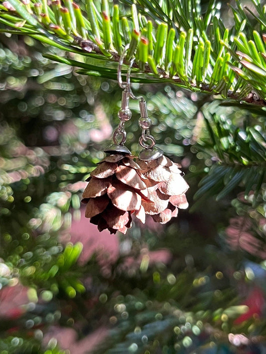 mini pine cone earrings on pine tree